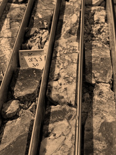 Drill core samples in wooden trays